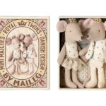 Ratones Gemelos Reales en Caja de Cerillas